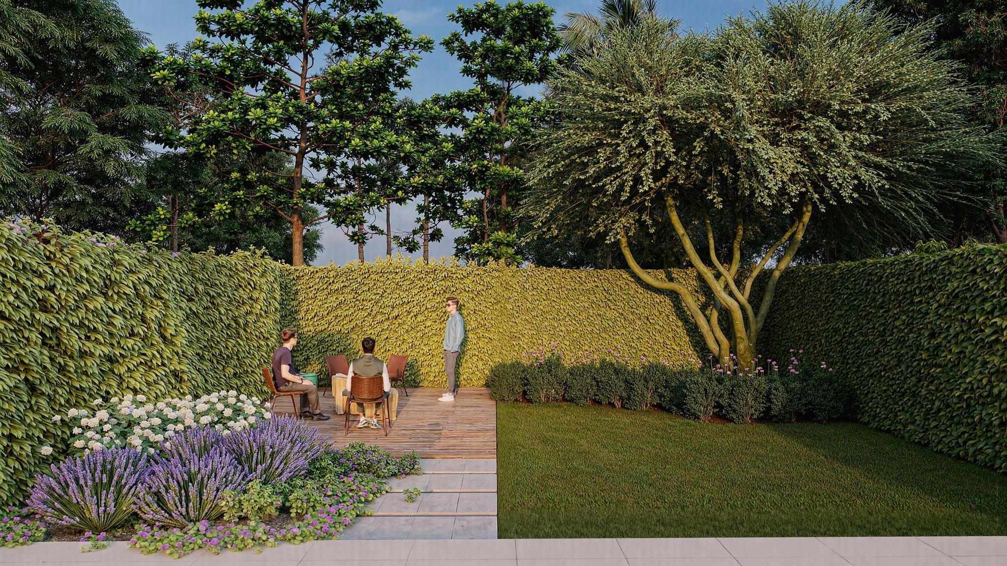 Árido pleno sol<br> 10x6 metros - Modelo 4 - Image 2